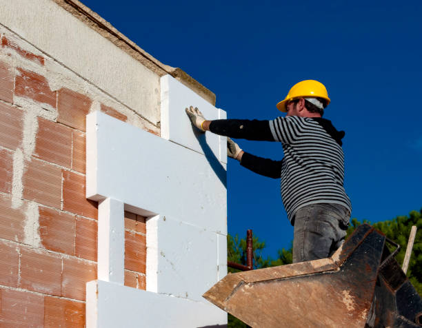 Best Insulation Maintenance and Repair in Elsa, TX
