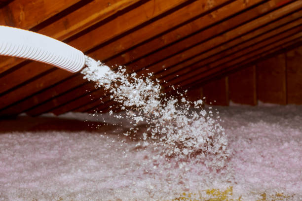 Best DIY Insulation Kits and Guidance in Elsa, TX