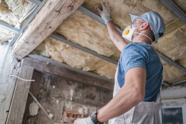 Best Spray Foam Insulation in Elsa, TX