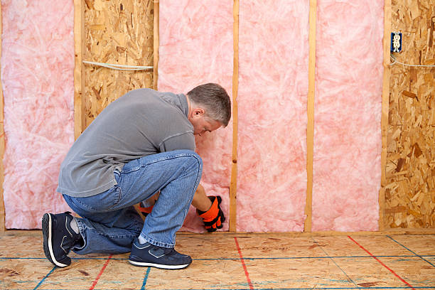 Best Spray Foam Insulation in Elsa, TX