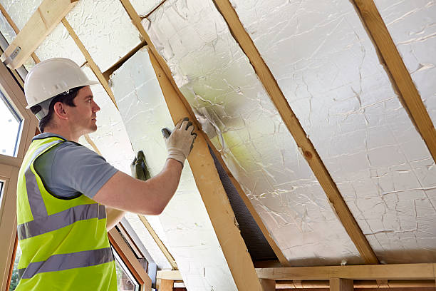 Professional Insulation Contractor in Elsa, TX